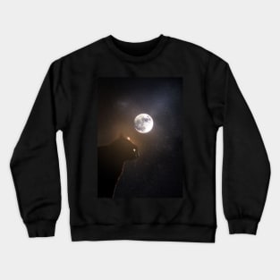 Lucky Crewneck Sweatshirt